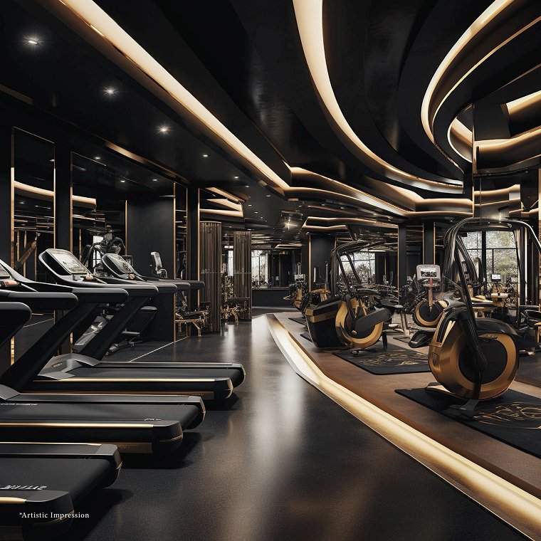 Gym and Spa